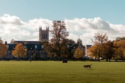 Universities